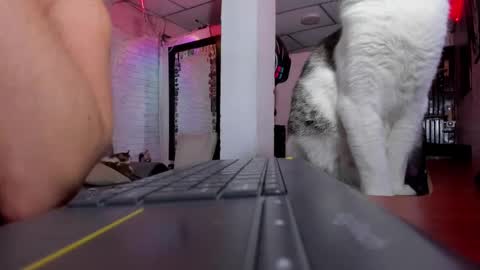 Melany online show from 02.01.25