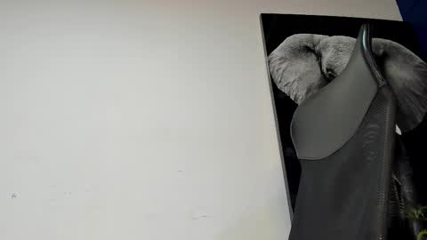 Angel Falconer online show from 11.04.25