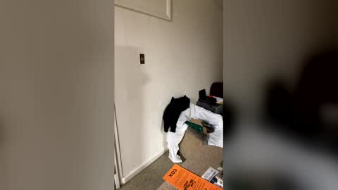 kingecstasyxxxddd online show from 01.16.26