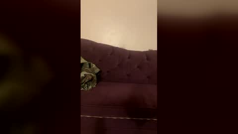 kingecstasyxxxddd online show from 03.18.26