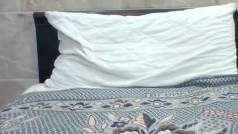 kingjordan122 online show from 01.30.25