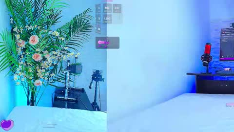    online show from 11.12.25