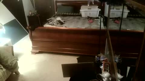 Snapshot of kittenkatch chatting on 02.08.26 KittenKatch online show from 02.08.26