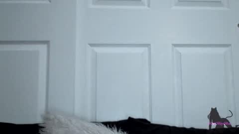 Kitti online show from 11.11.25