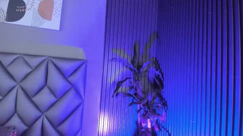   online show from 11.12.25