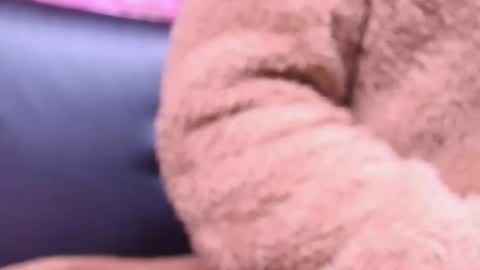 Snapshot of kitty_malach chatting on 10.23.25 Kitty online show from 10.23.25