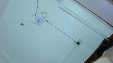 Snapshot of kittylickerfucker69 chatting on 02.25.25 Grace online show from 02.25.25