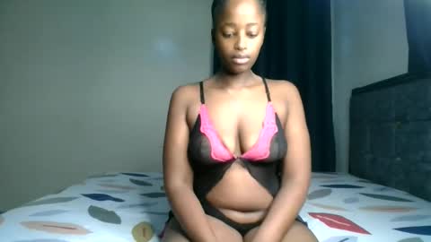 Kittypettite online show from 03.12.26