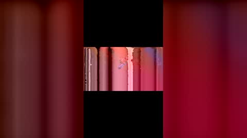 kittypurrrrry online show from 03.02.26