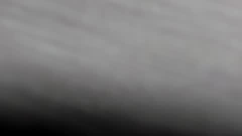  K I T T  Y  online show from 02.01.25