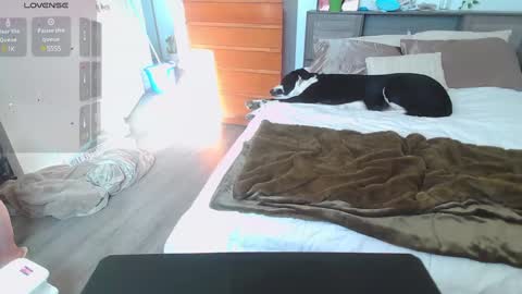 Kittyymaze online show from 01.14.25