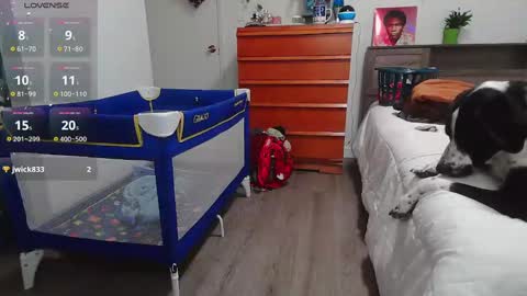 Kittyymaze online show from 01.19.25