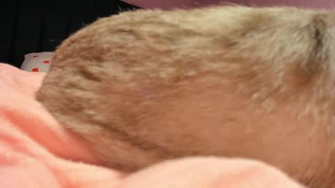 Yuna online show from 04.19.26