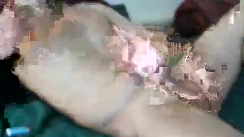 kloeyhoottoyboy online show from 03.21.26