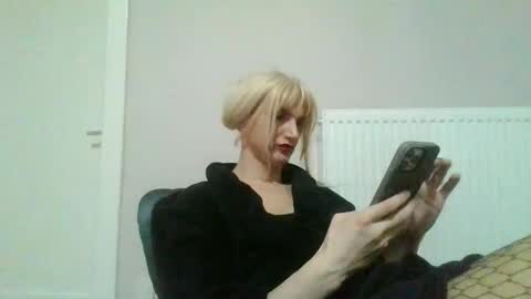 Palo313 online show from 02.11.26