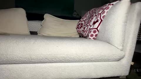 knautyknight online show from 10.12.25