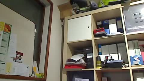 kokin3034 online show from 01.08.25