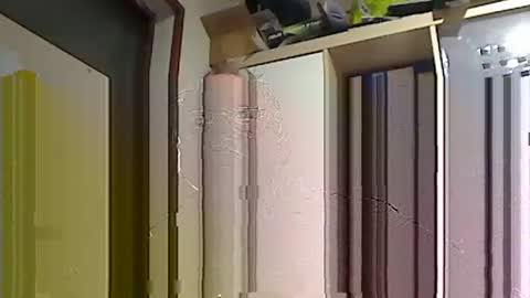 kokin3034 online show from 02.22.25