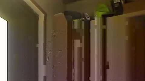 kokin3034 online show from 10.08.25