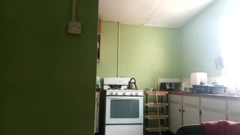 Prince makonnen  online show from 03.01.25