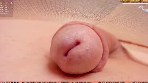 Snapshot of kpetra chatting on 02.19.26 Petra online show from 02.19.26