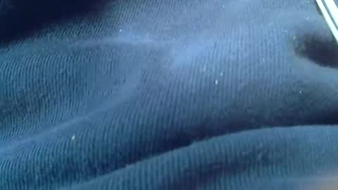 kunio37 online show from 01.04.25