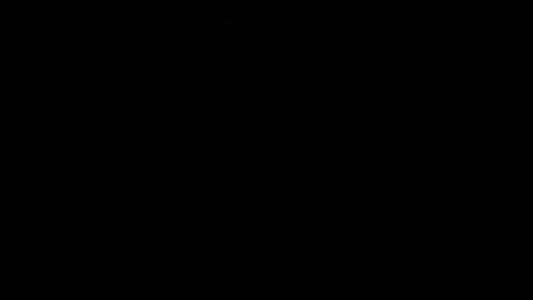 kylie_bloom online show from 10.31.25