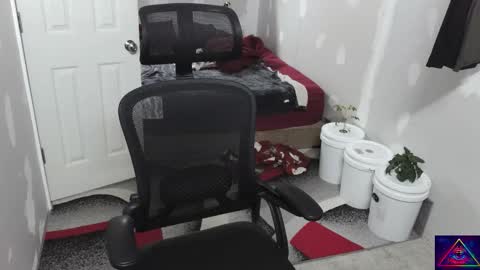 l1v1nth3dr3am online show from 11.10.25