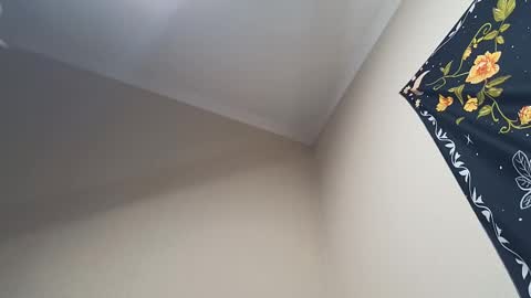 Adonis online show from 02.28.25