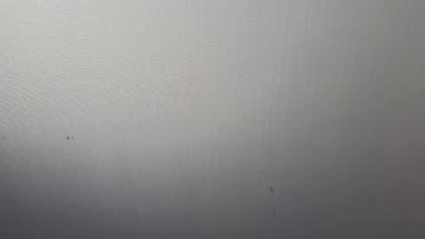 Adonis online show from 03.07.25