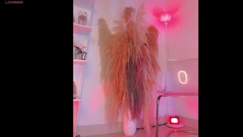 Colorina  online show from 01.12.26