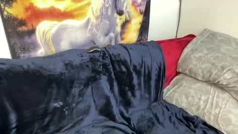 Lacy8Vankort online show from 02.08.25