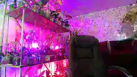 Lady Gloria online show from 02.22.25