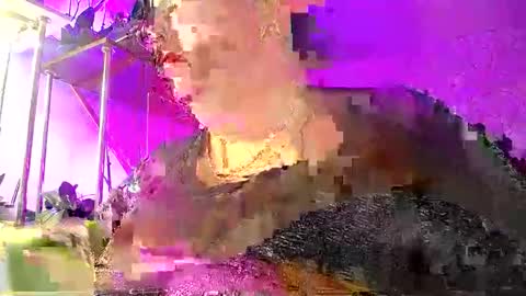 Lady Gloria online show from 01.08.26