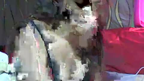 LadyXSnakes online show from 03.11.25