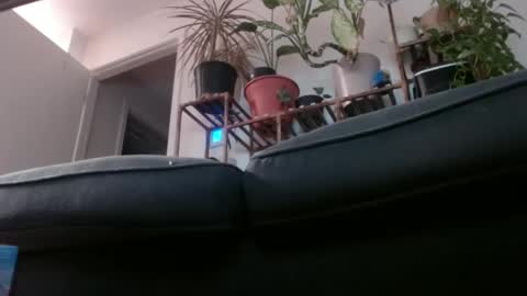 Rick online show from 02.01.25