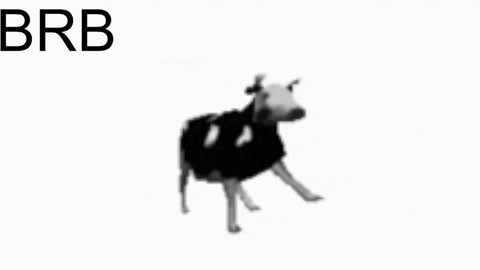 just call me Lana  and her security online show from 01.25.25