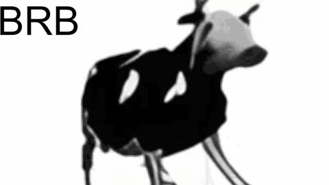 just call me Lana  and her security online show from 02.06.25