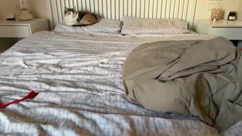 Lana online show from 02.05.25