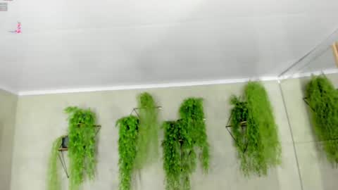 lana_lann online show from 01.09.25