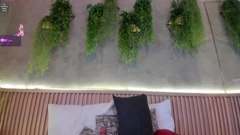 lana_lann online show from 02.14.25