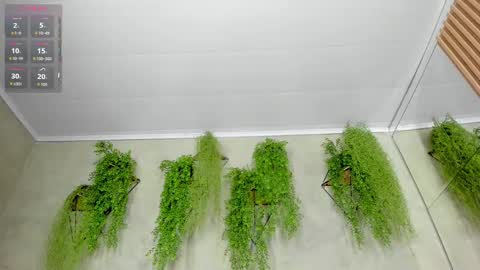 lana_lann online show from 09.28.25