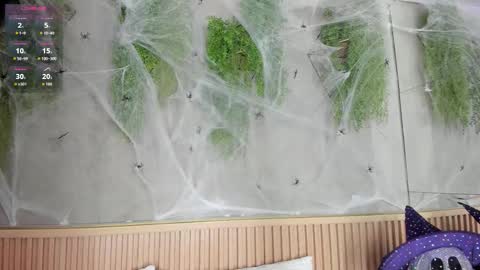 lana_lann online show from 10.27.25