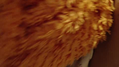 Snapshot of laralhotr chatting on 12.26.24 laralhotr online show from 12.26.24