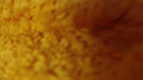 Snapshot of laralhotr chatting on 12.27.24 laralhotr online show from 12.27.24