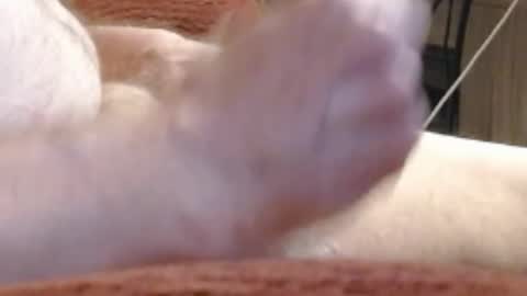 Snapshot of laststeven chatting on 12.17.24 laststeven online show from 12.17.24