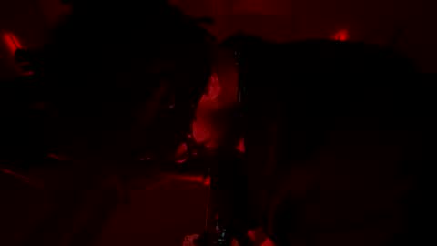 latex__buddy online show from 03.03.26