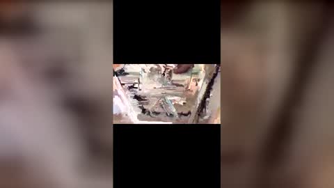 latinbulldaddy88036 online show from 03.09.26