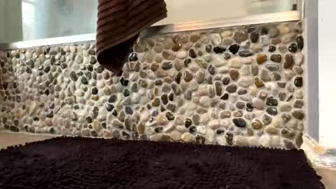 Snapshot of latinlover199518 chatting on 04.16.26 latinlover199518 online show from 04.16.26