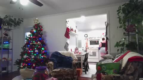 Snapshot of laulauma chatting on 12.23.24 LauLauMa online show from 12.23.24